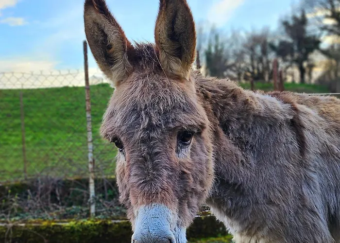 Bed and Breakfast La Grange 3*