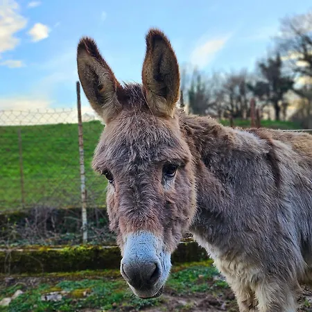 ベッド・アンド・ブレックファスト La Grange 3*